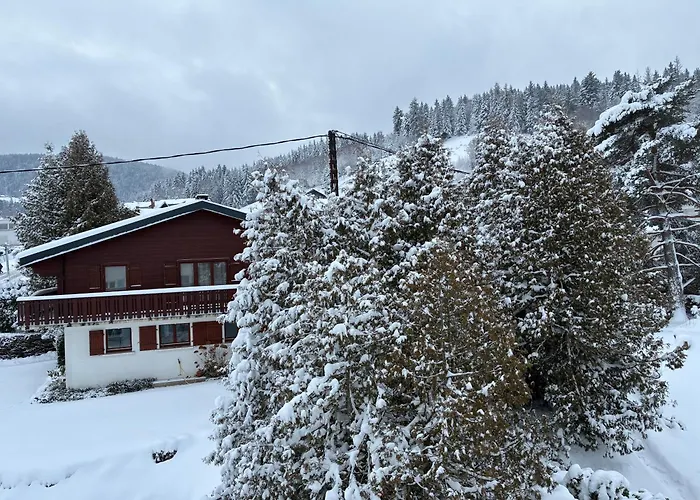 Familial Au Centre De Avec Jeux Et Piscine Exterieure Estivale Gérardmer