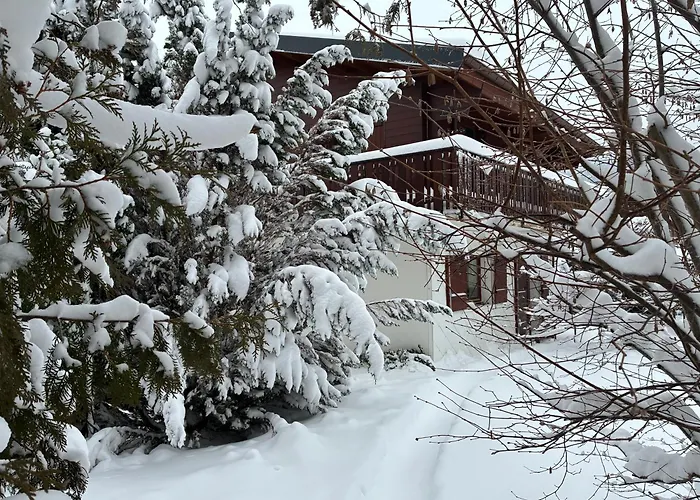 Chalet Familial Avec Piscine Au Centre De Gerardmer