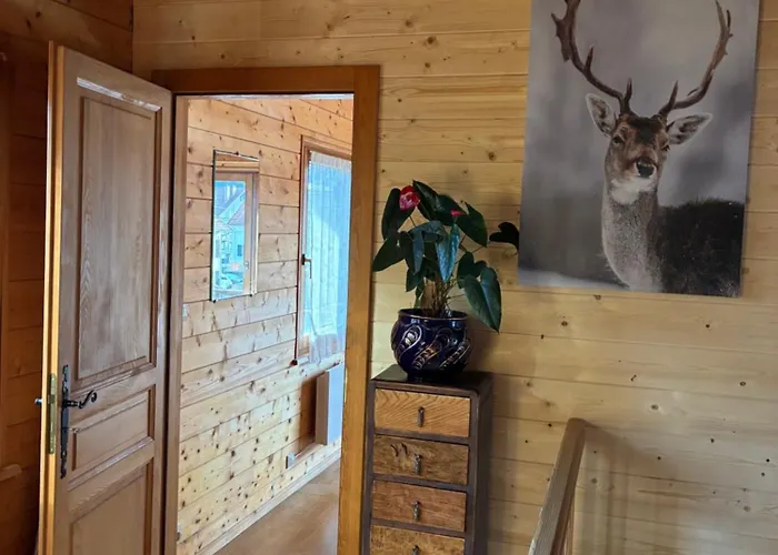 Familial Au Centre De Avec Jeux Et Piscine Exterieure Estivale Horská chata Gérardmer