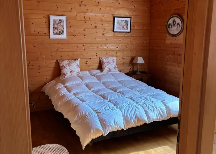 Familial Avec Piscine Au Centre De Chalet Gerardmer